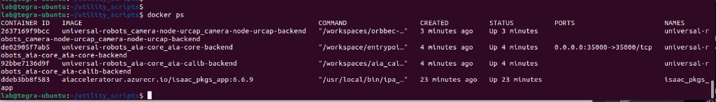 Example docker ps output showing AIA and Isaac containers