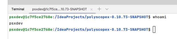 IntelliJ whoami